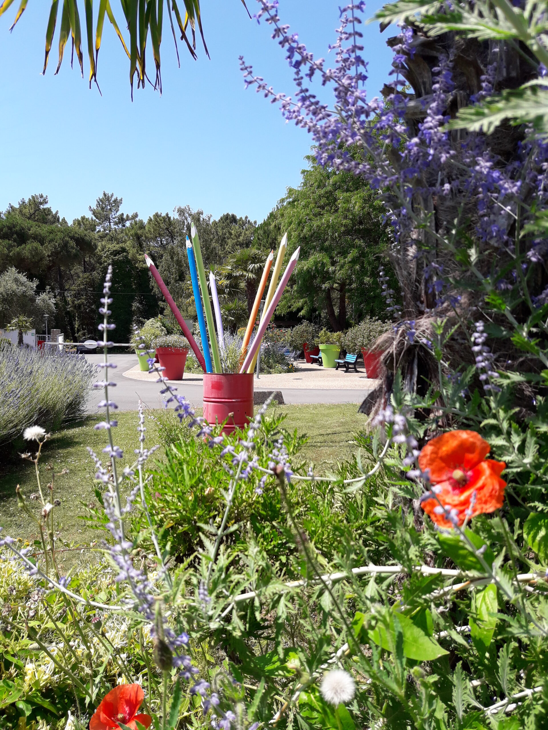 arteslevillageoceanique iledere (36)