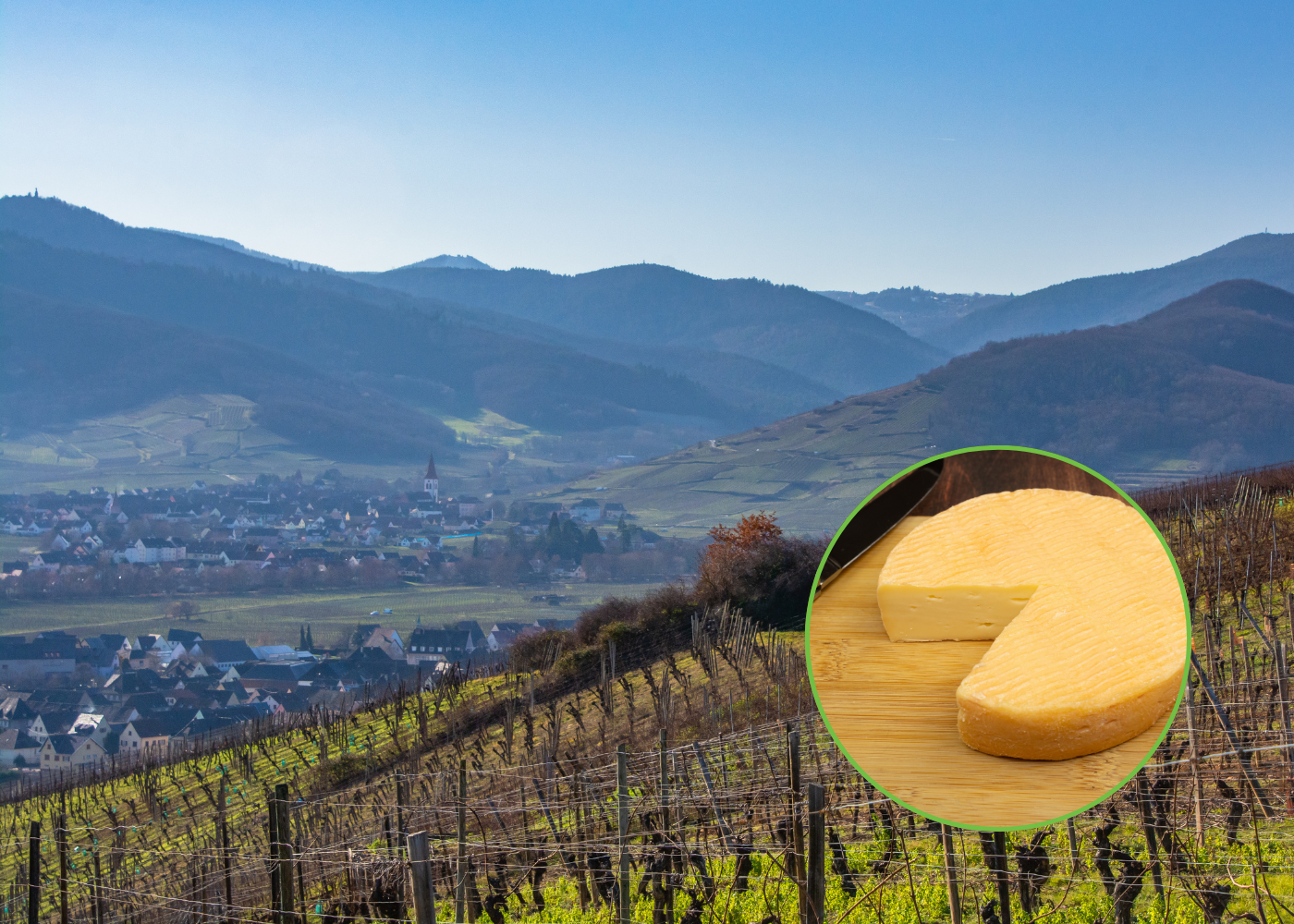 alsace vosges bis