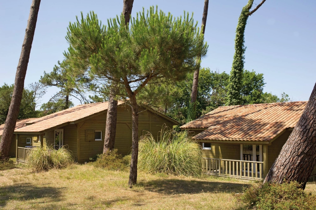 arteslaforetdeslandes tarnos (3)