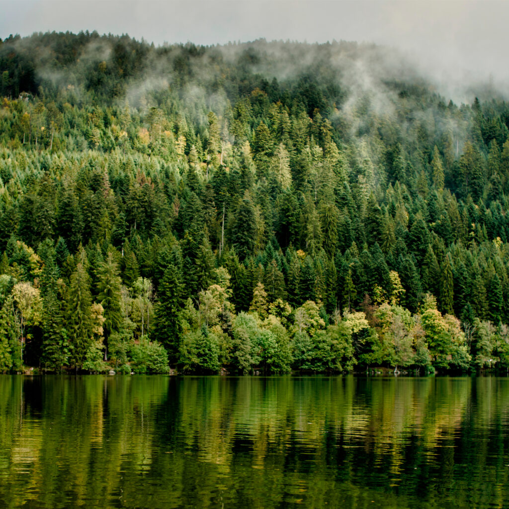 vue partielle du lac de gérardmer, vosges, france