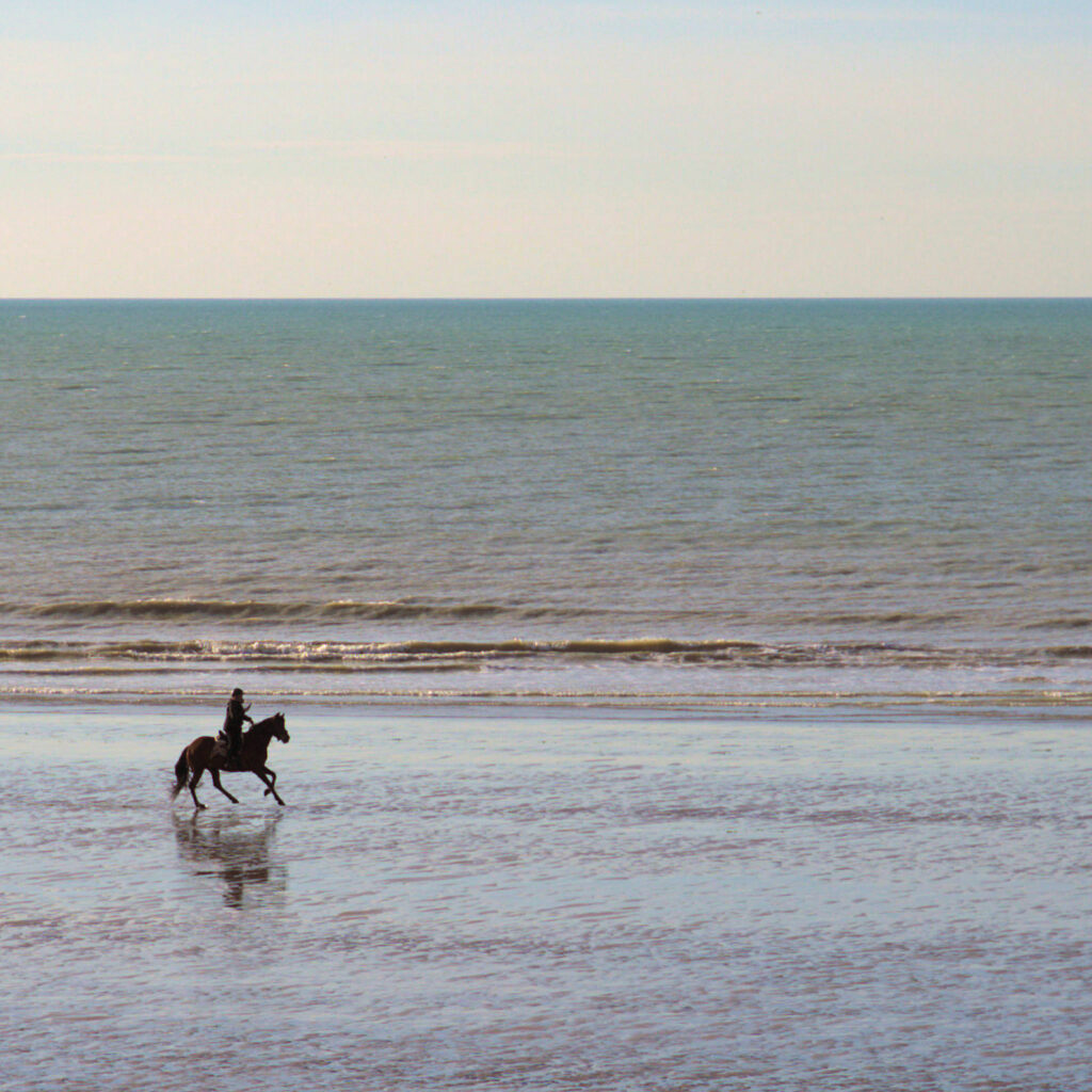 mer sur les cotes du nord : ballade des chevaux