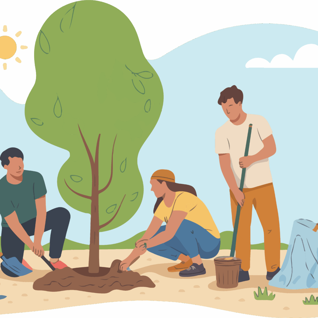 plantation participative