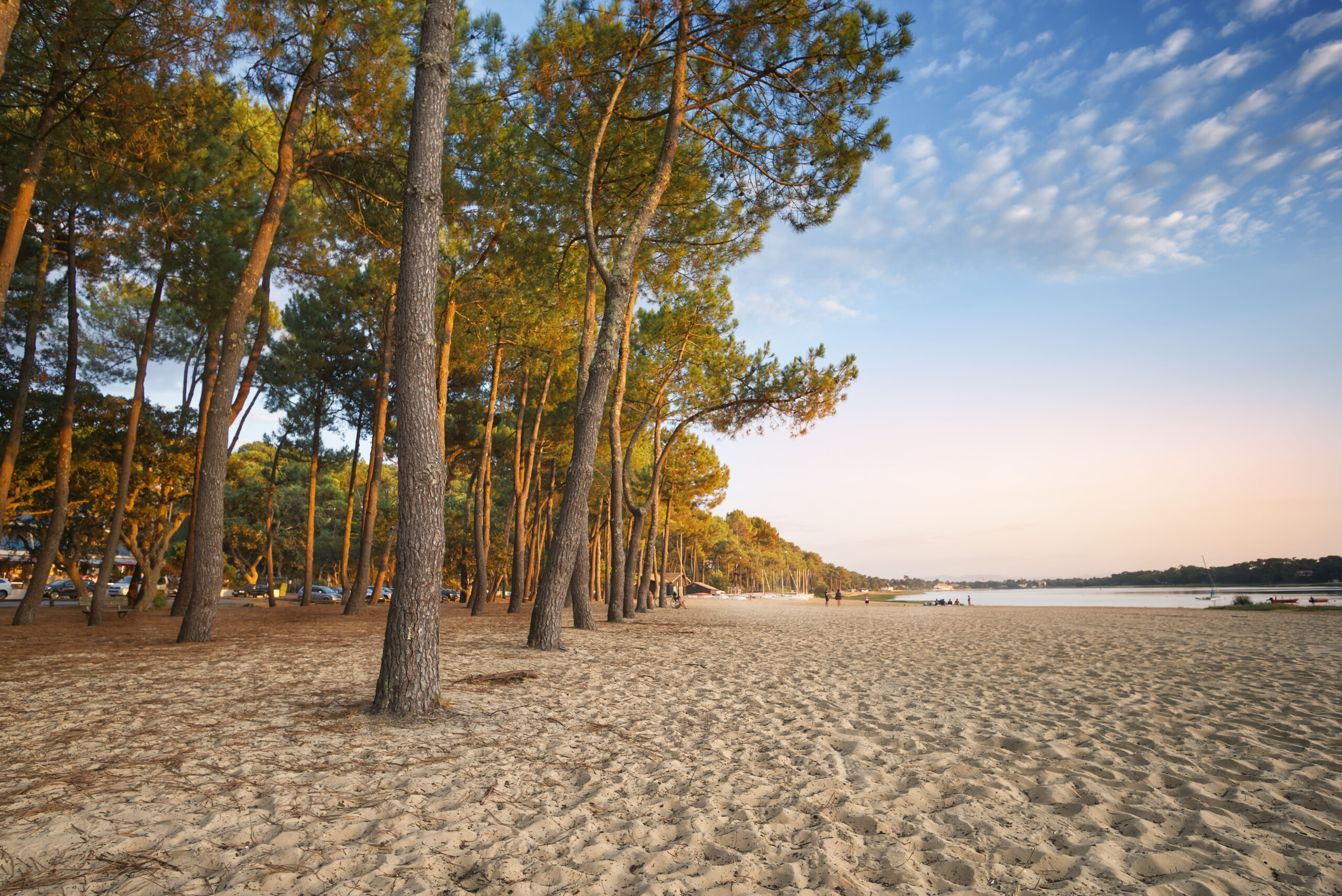 beach at the bottom of lake hossegor in the landes, france