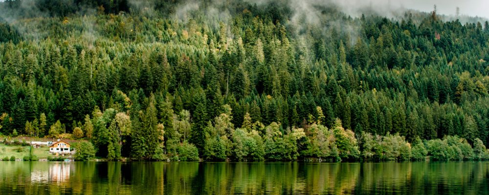 vue partielle du lac de gérardmer, vosges, france vue partielle du lac de gérardmer, vosges, france