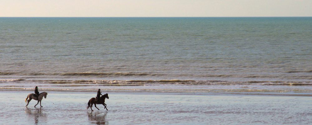 mer sur les cotes du nord : ballade des chevaux